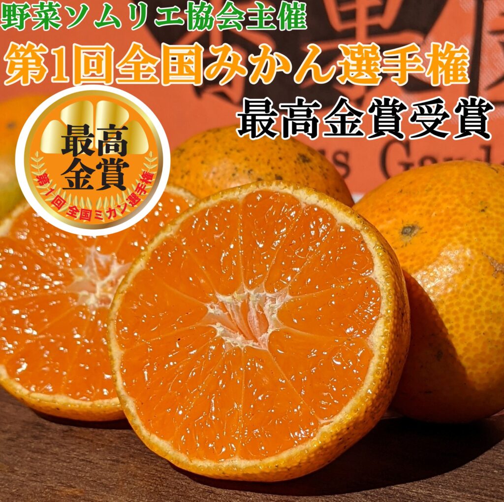 第一回全国ミカン選手権最高金賞受賞☆【2025年11月24日より