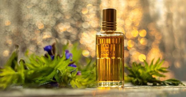 Eau de Gucci Concentree (1982) Gucci perfume - a fragrance for