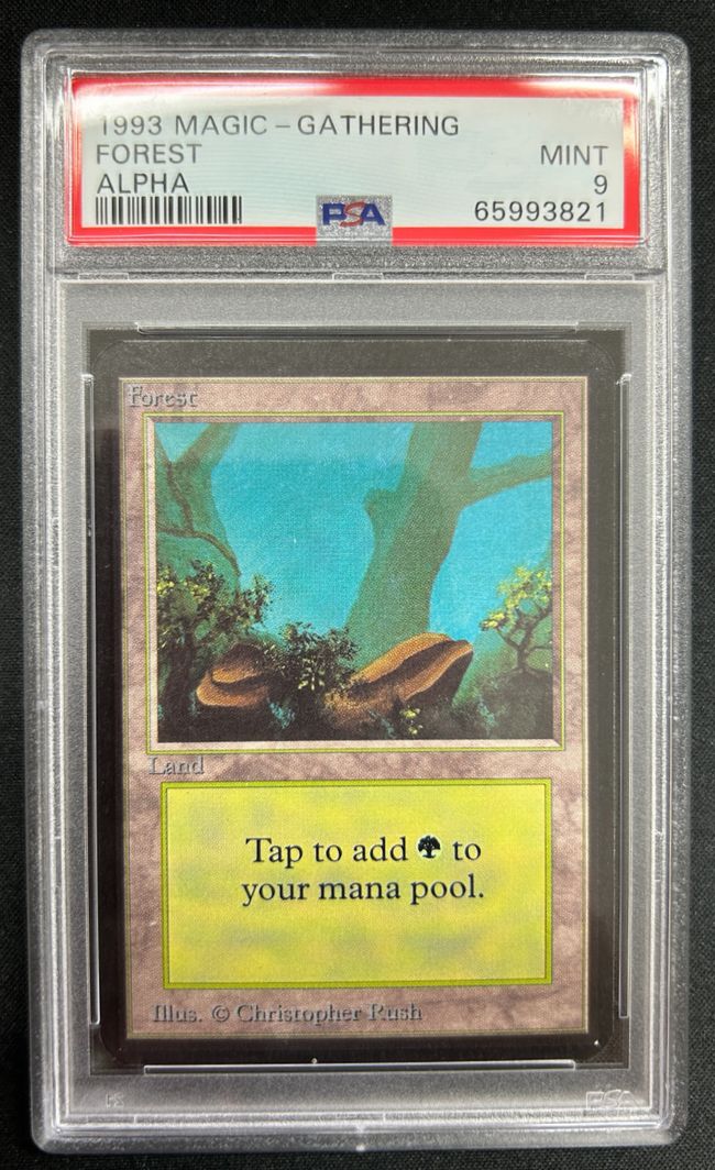 B)《森/Forest》[LEA] 土地 | 日本最大級 MTG通販サイト「晴れる屋」