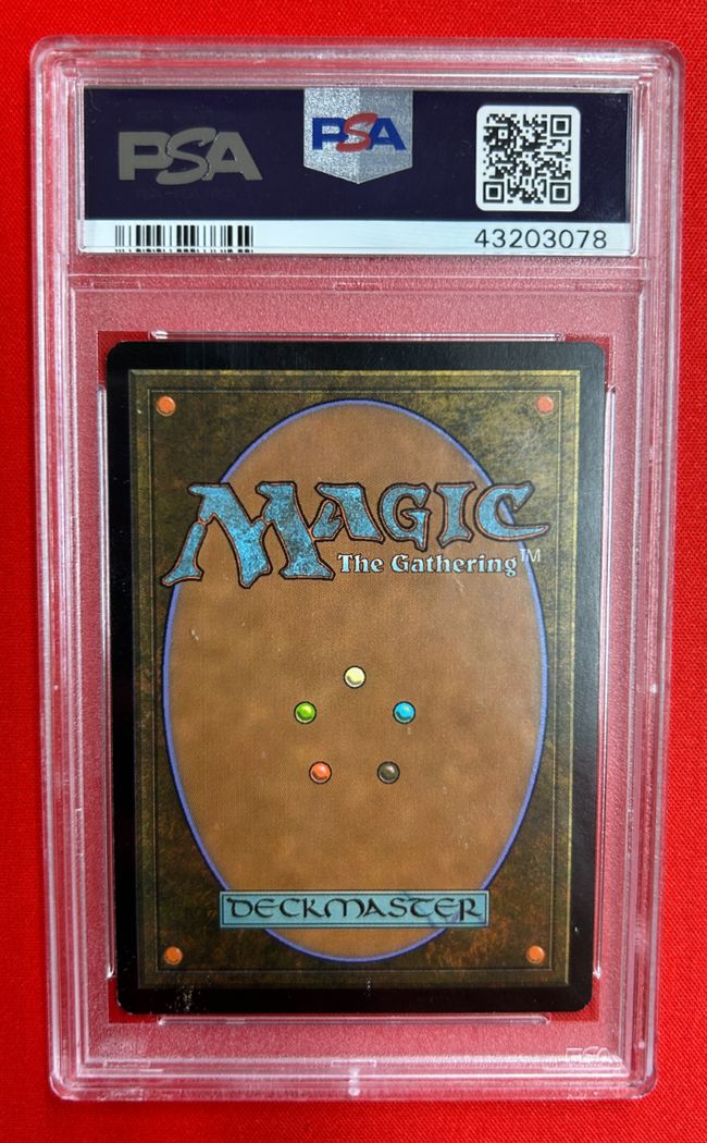 Foil】《新緑の地下墓地/Verdant Catacombs》[ZEN] 土地R | 日本最大級