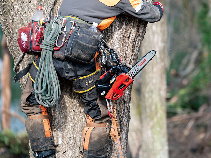 こがる」の切れ味をアップするオレゴン「スピードカットナノ」を体験