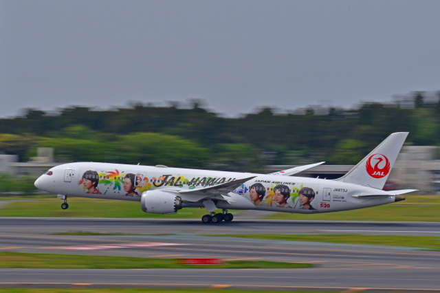 嵐ジェット、全て無くなる 最後の「嵐ジェット ハワイ」運航終了