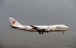スーパーリゾート・エクスプレス (パープル)」特別塗装機 日本航空