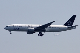 スターアライアンス」特別塗装機 全日空 (777-200 | JA711A) ガイド