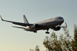ANAウイングス Boeing 737-500 JA305K 伊丹空港 航空フォト | by