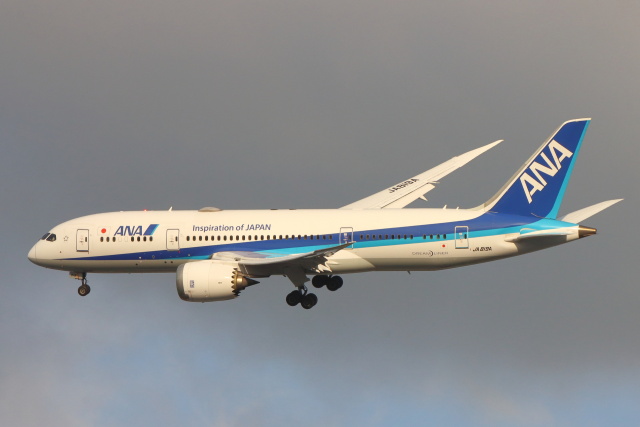 ANA (全日空) 機材一覧 ボーイング737-800 | FlyTeam(フライチーム)