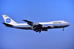 パンアメリカン航空 評判(口コミ)・機材(飛行機)・航空フォトなどの