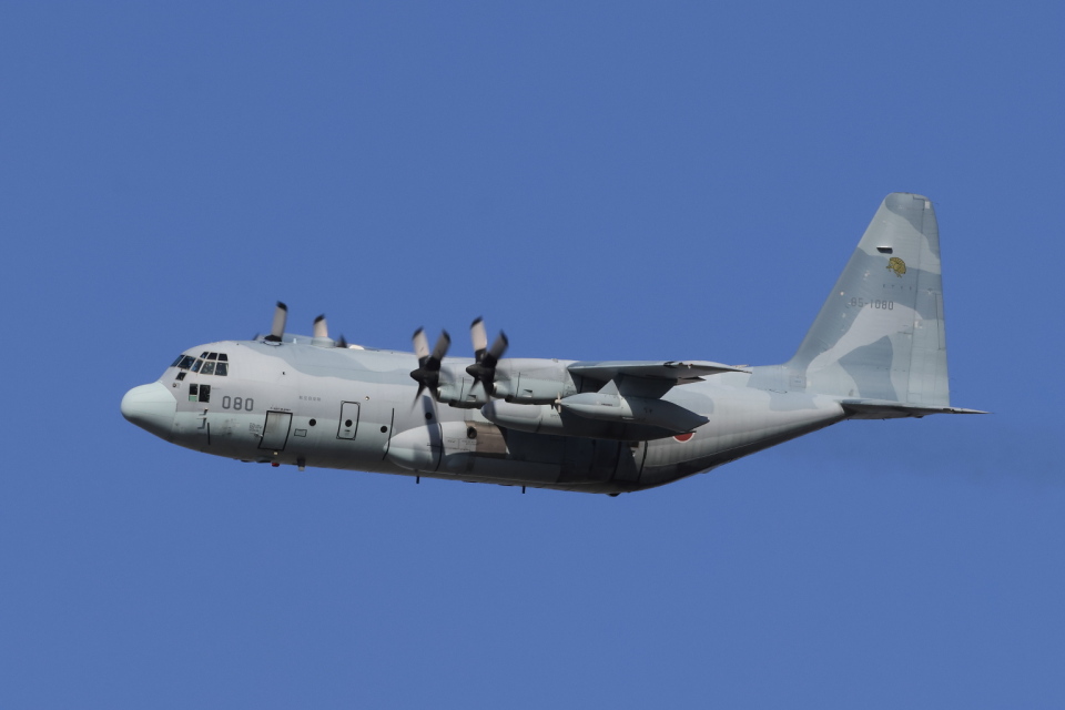 航空自衛隊 Lockheed C-130 Hercules 85-1080 名古屋飛行場 航空フォト