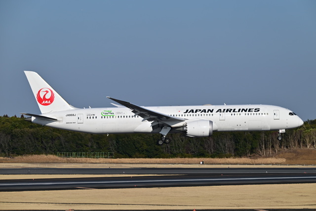 JAL (日本航空) 機材一覧 ボーイング787-9 | FlyTeam(フライチーム)