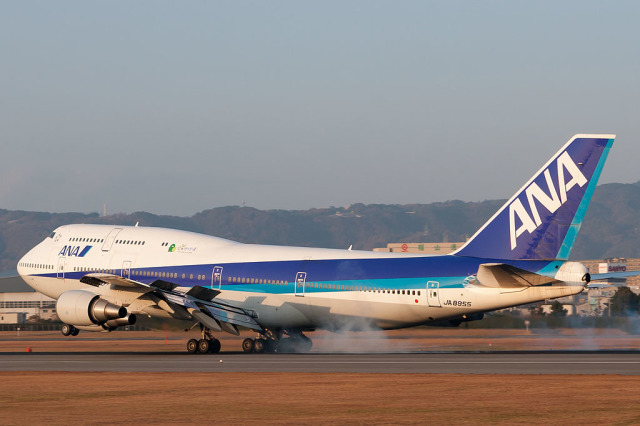 機体記号 : JA8955 (ANA) 航空機体ガイド | FlyTeam(フライチーム)