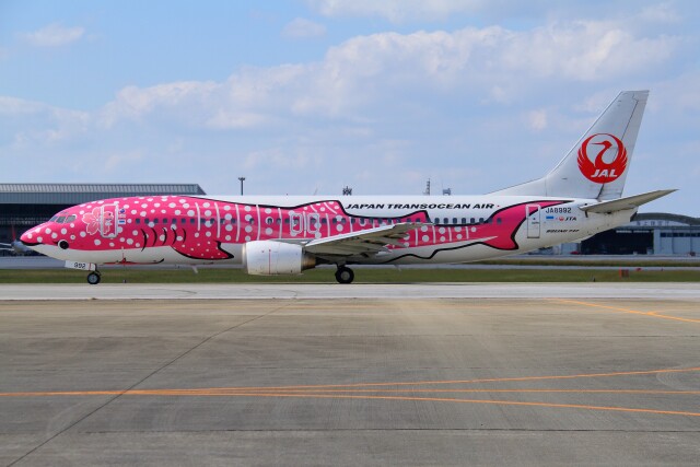 初代 さくらジンベエジェット」特別塗装機 日本トランスオーシャン航空
