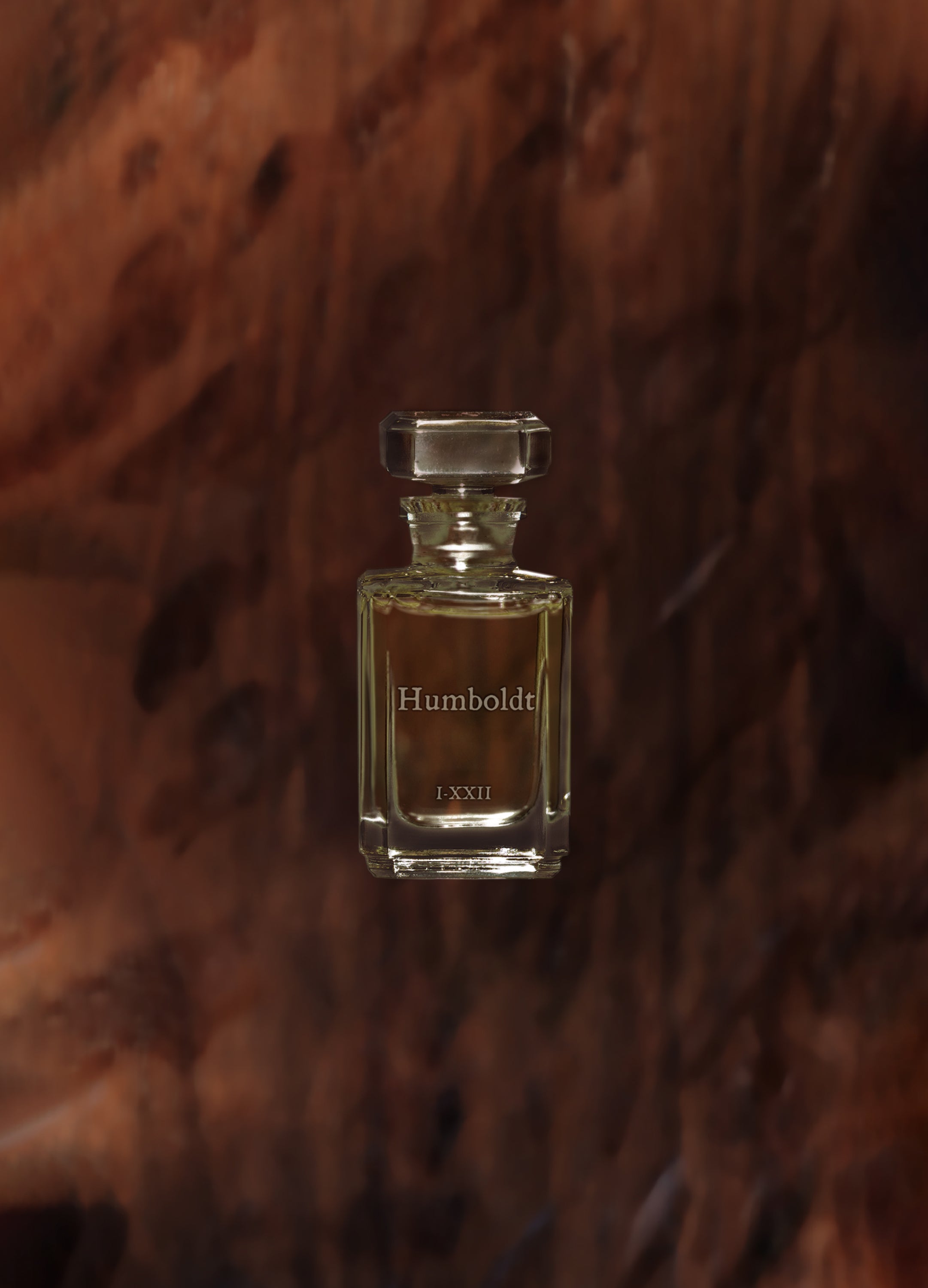 FUEGUIA 1833 | Humboldt｜フンボルト – FUEGUIA 1833 Japan Online