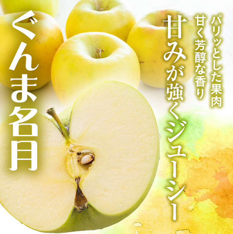 りんご 青森 サンふじ ぐんま名月 約 5kg (12～18玉) リンゴ