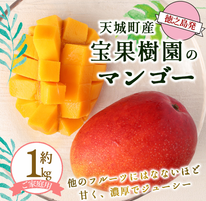 2026年発送】【先行受付】徳之島 天城町産 宝果樹園 完熟マンゴー ご