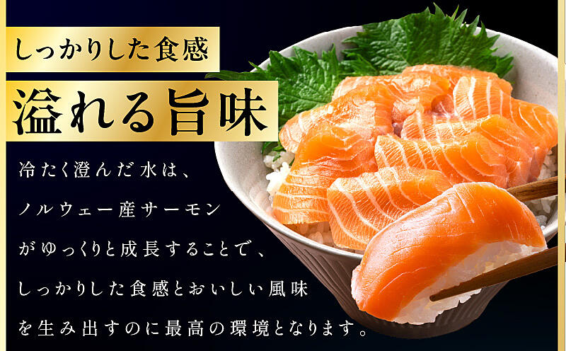 kgp0079 極上 アトランティックサーモン 1kg 【2～5柵 訳あり サイズ