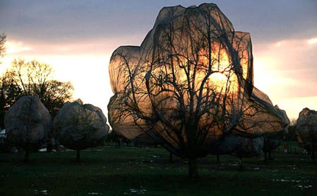 Christo and Jeanne-Claude: Wrapping Trees | GemmaSchiebeFineArt II