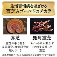 霊芝 ゴールド | ゲオール化粧品