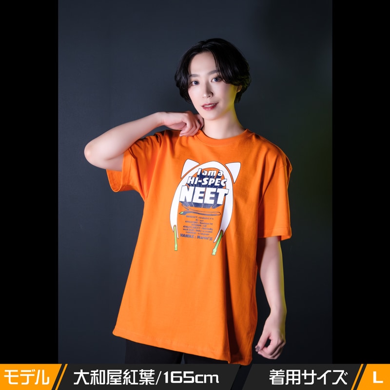 コンパスTシャツ 2024年モデル登場！