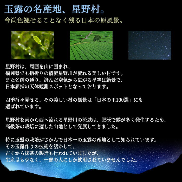 抹茶 御家元御好】 星野園製抹茶「延年之昔」100g缶 裏千家 坐忘斎御家