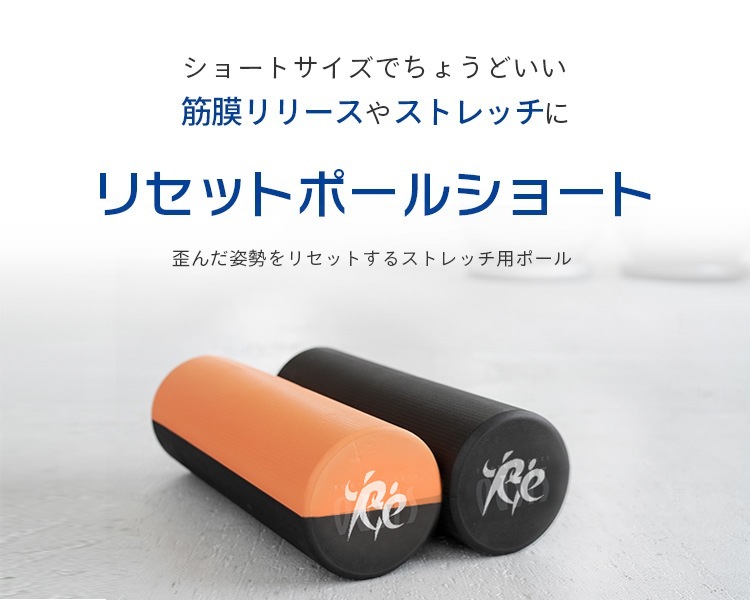 リセットポール ショート RP-600