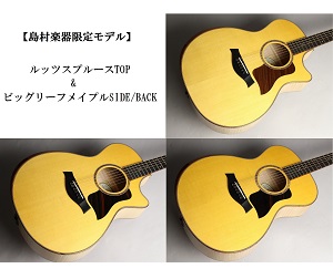 ベース・チューブ・ウォーマー】EDEN NEWペダルはヴィンテージ