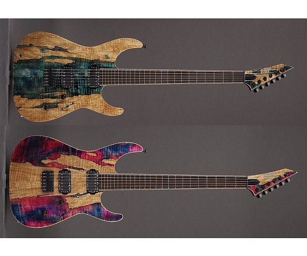 Bogner Ecstasy“PANDORA”｜名器”101B”に機能を追加しカスタマイズされ