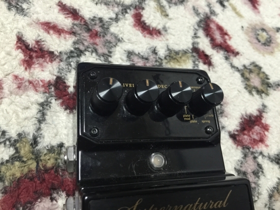DIGITECH デジテック Supernatural Ambient Verbの目盛が見づらいので