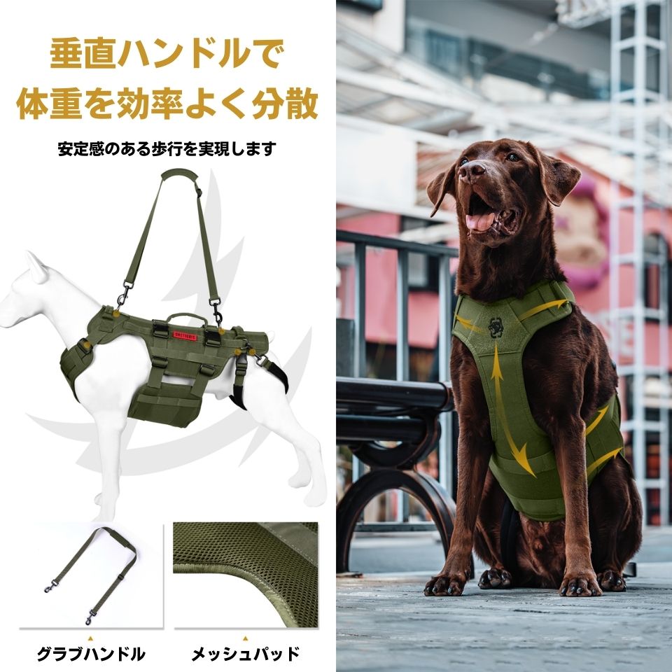 ONETIGRIS INVICTUS SUPPORTハーネス – Guppies