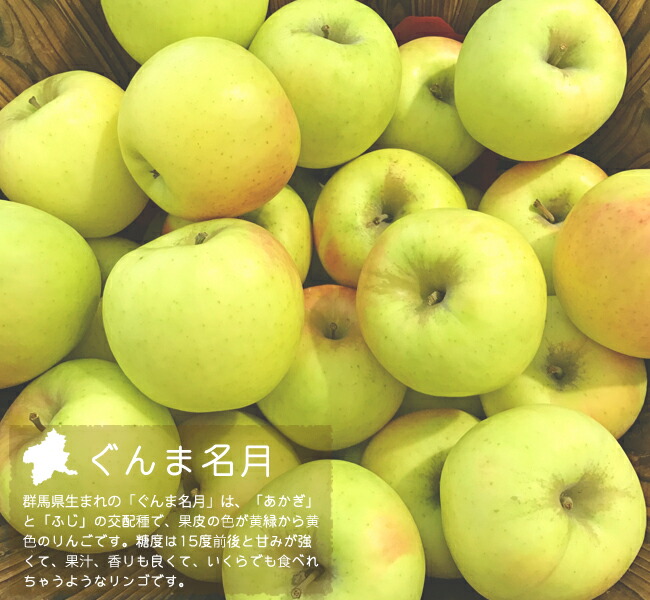 リンゴ ぐんま名月 苗 植え時期 苗木部 By 花ひろばオンライン