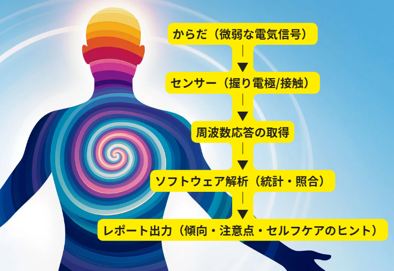 波動量子共鳴測定器 – healthbase