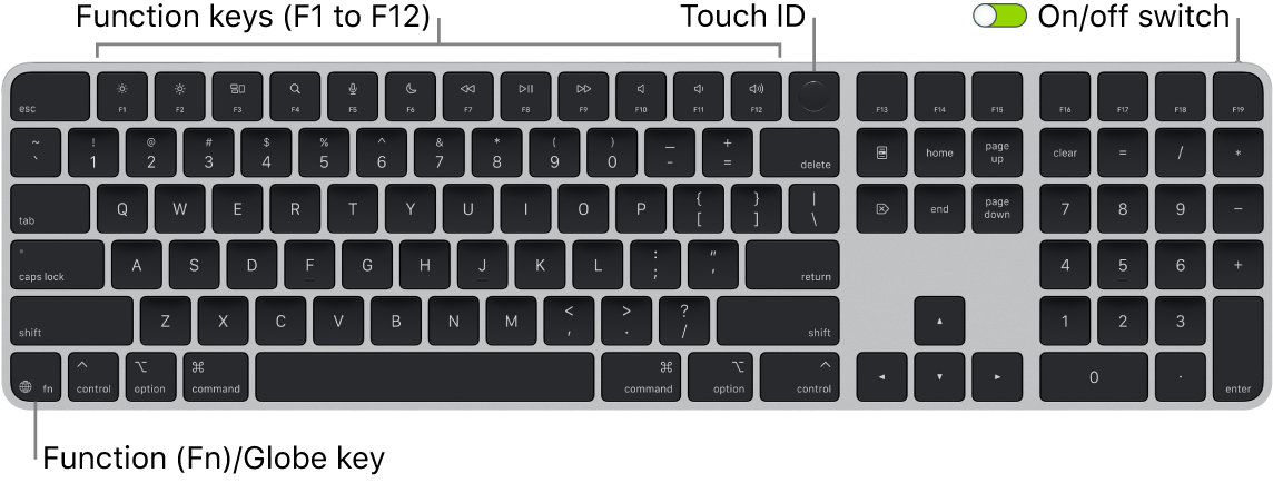 Magic Keyboard with Touch ID - Apple Support (SA)