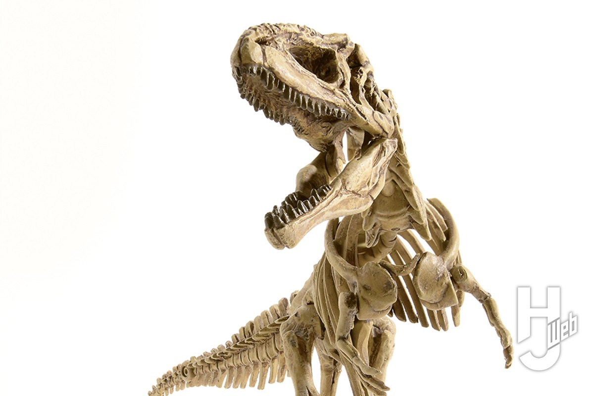 ティラノ超えの超巨大肉食恐竜「ギガノトサウルス」の骨格を復元