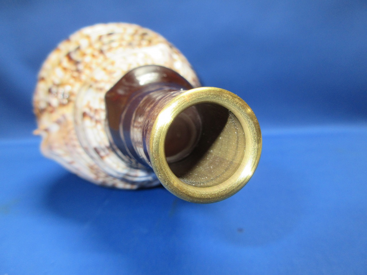 法螺貝（ほら貝）販売のお店