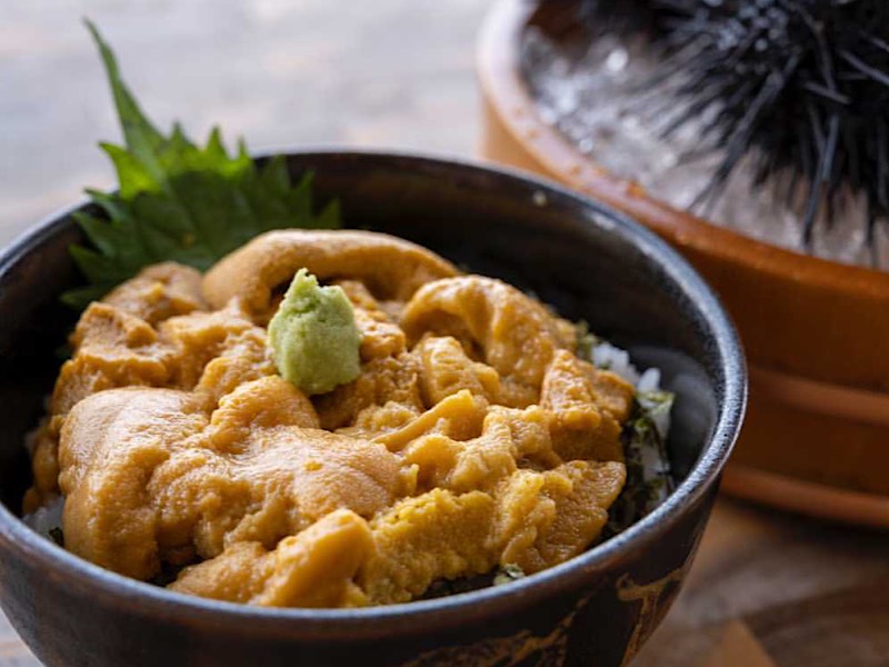 民宿 ムラカミヤ」の生うに丼がすごすぎ！知内町でいただく絶品めし