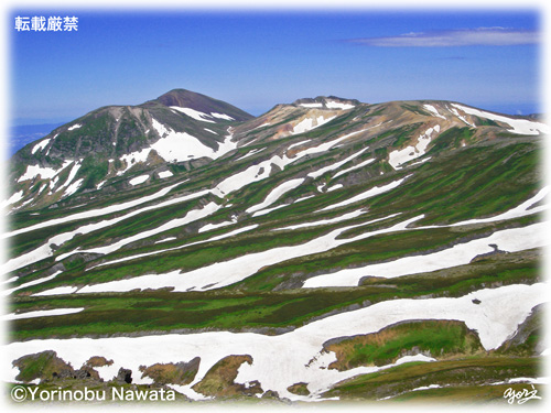 大雪山系『白雲岳,旭岳,緑岳,十勝岳,お花畑,雪渓,パノラマ,高原温泉沼