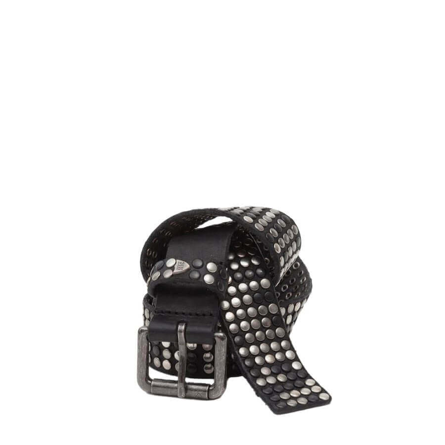 5.000 STUDS BELT Hollywood Trading Company