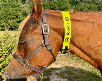 ハンドメイドレザーの馬用牧草地首輪、繁殖牝馬識別 - Etsy 日本