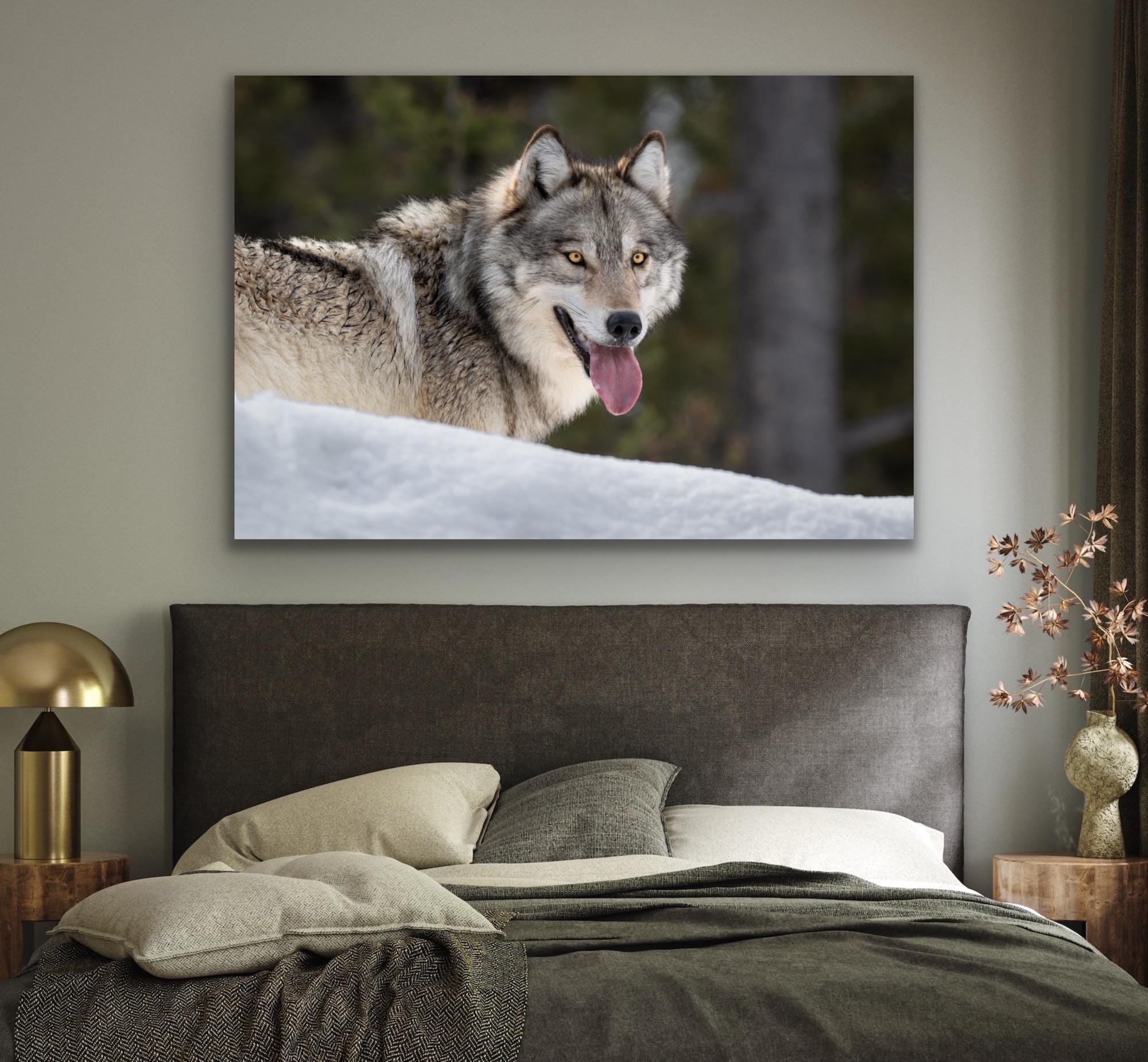 若い雌の灰色オオカミの肖像 - ジクレー版画 - Etsy 日本