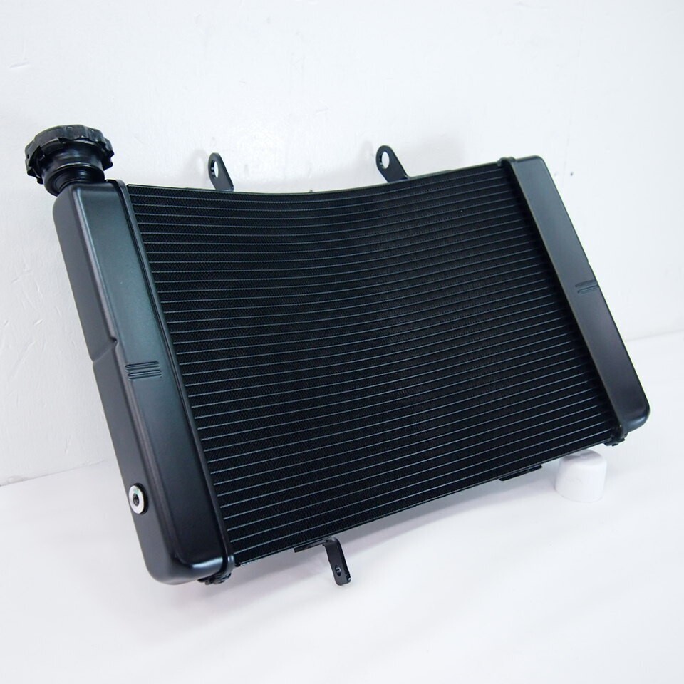 セブ・SEV Radiator R-1 （中古品） 2026年最新】sev ラジエーターの