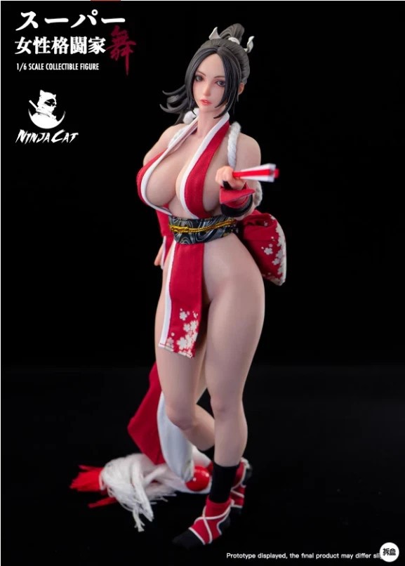 IN STOCK New NINJA CAT N001 1/6 Female Fighter Mai Shiranui 12
