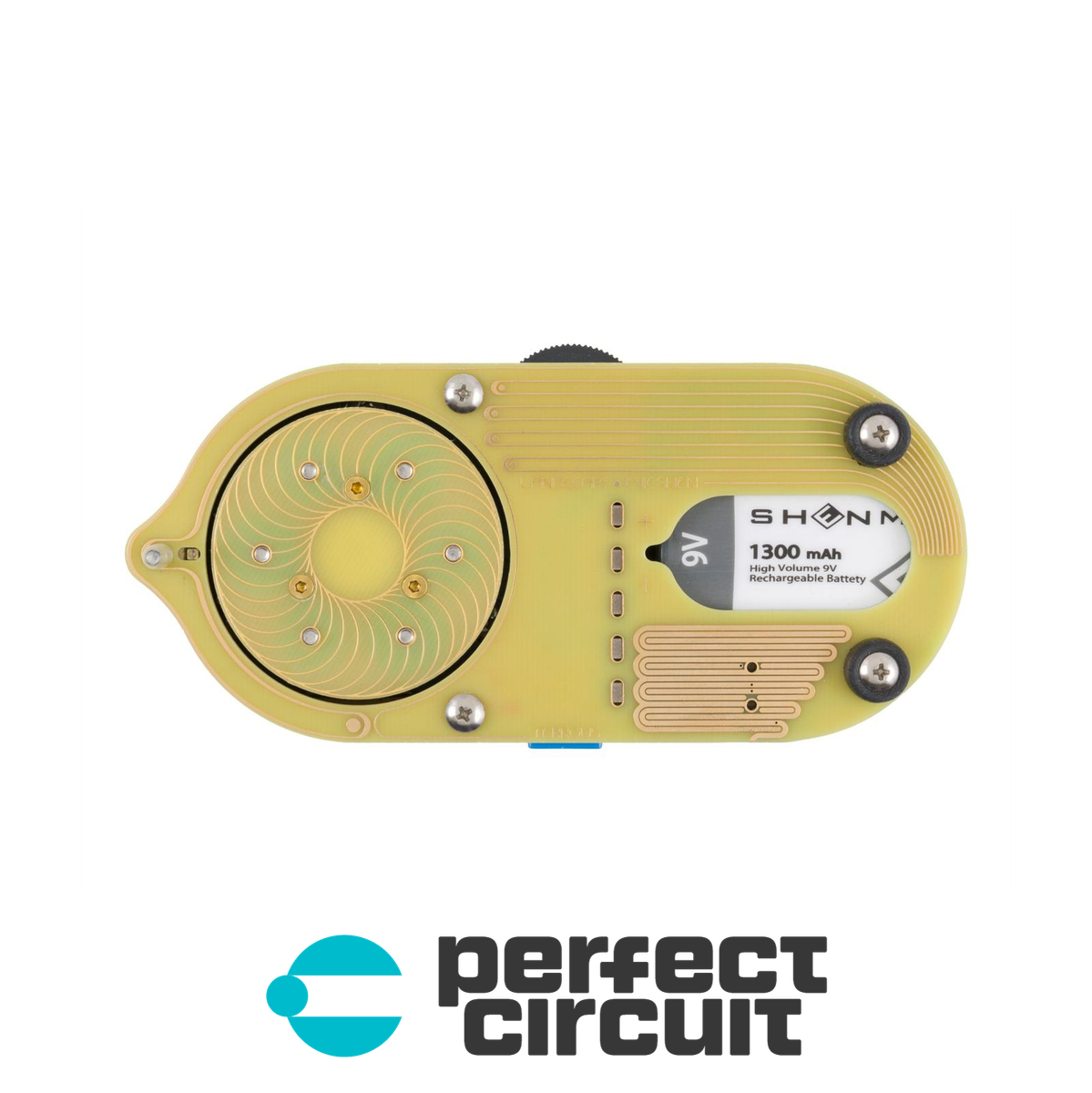 Landscape Ferrous Magnetic String Resonator EFFECTS - NEW