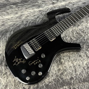 Guitar Parker Fly | eBay