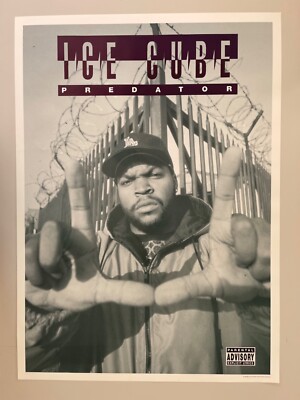 ICE CUBE, THE PREDATOR,HIP-HOP, RARE 1992 POSTER , LAST ONE