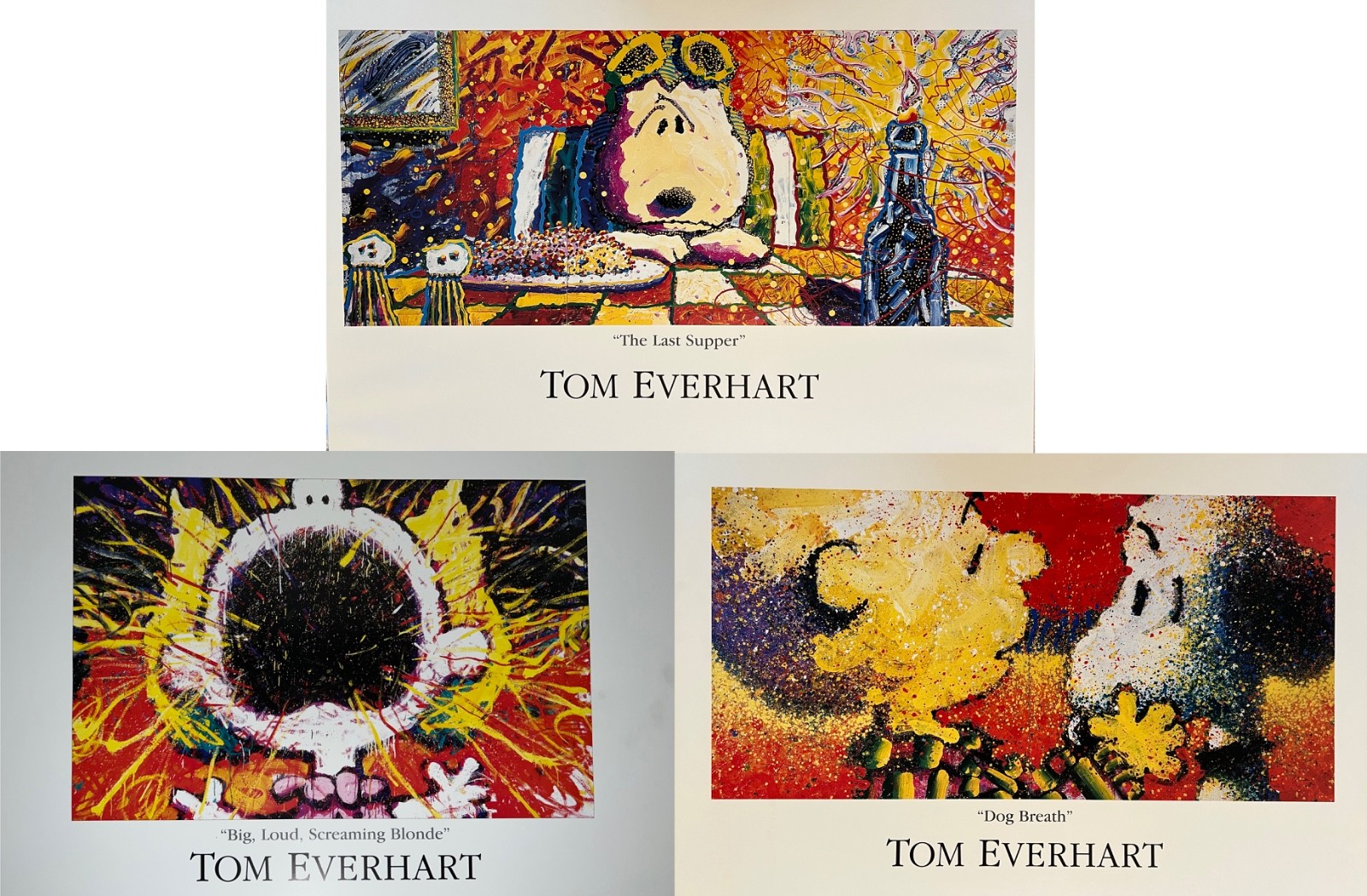 TOM EVERHART ジグソーパズル SNOOPY ノーバディバークス Tom Everhart