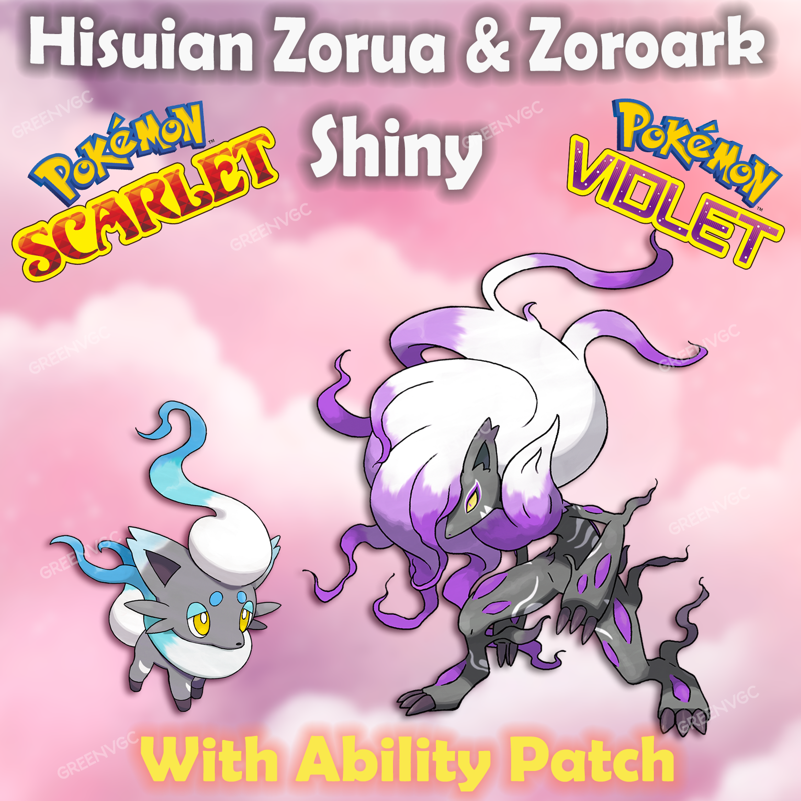 Shiny Hisuian Zorua & Zoroark 6iv Battle Ready | Pokemon Scarlet