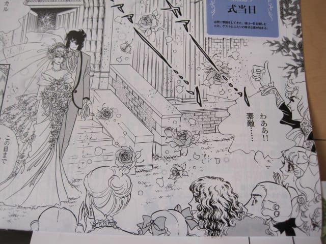 ゼクシィ2月号 愛と波乱の結婚準備 ダンドリBOOK (2) - Vばら