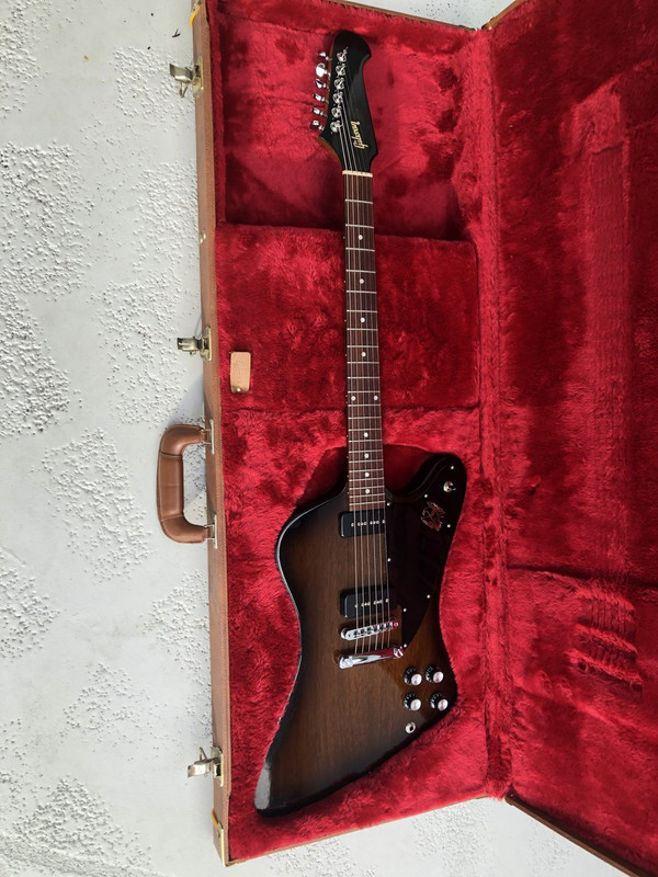 NGD - Gibson Firebird Studio 2018 | The Gear Page
