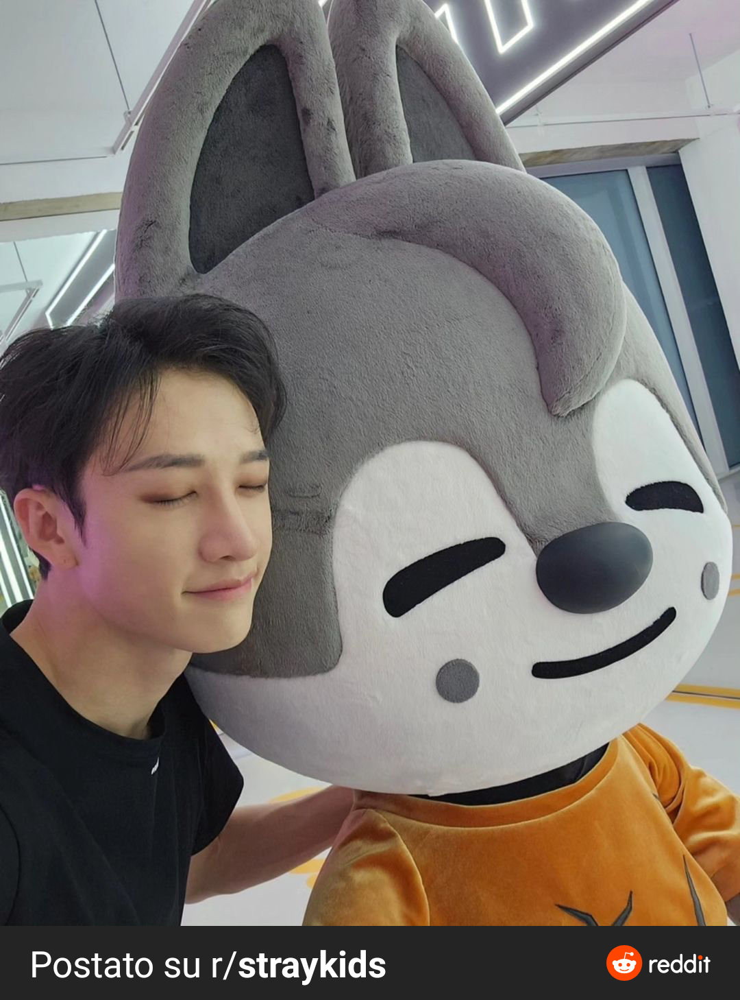 バンチャンとウルフチャン💞 : r/straykids