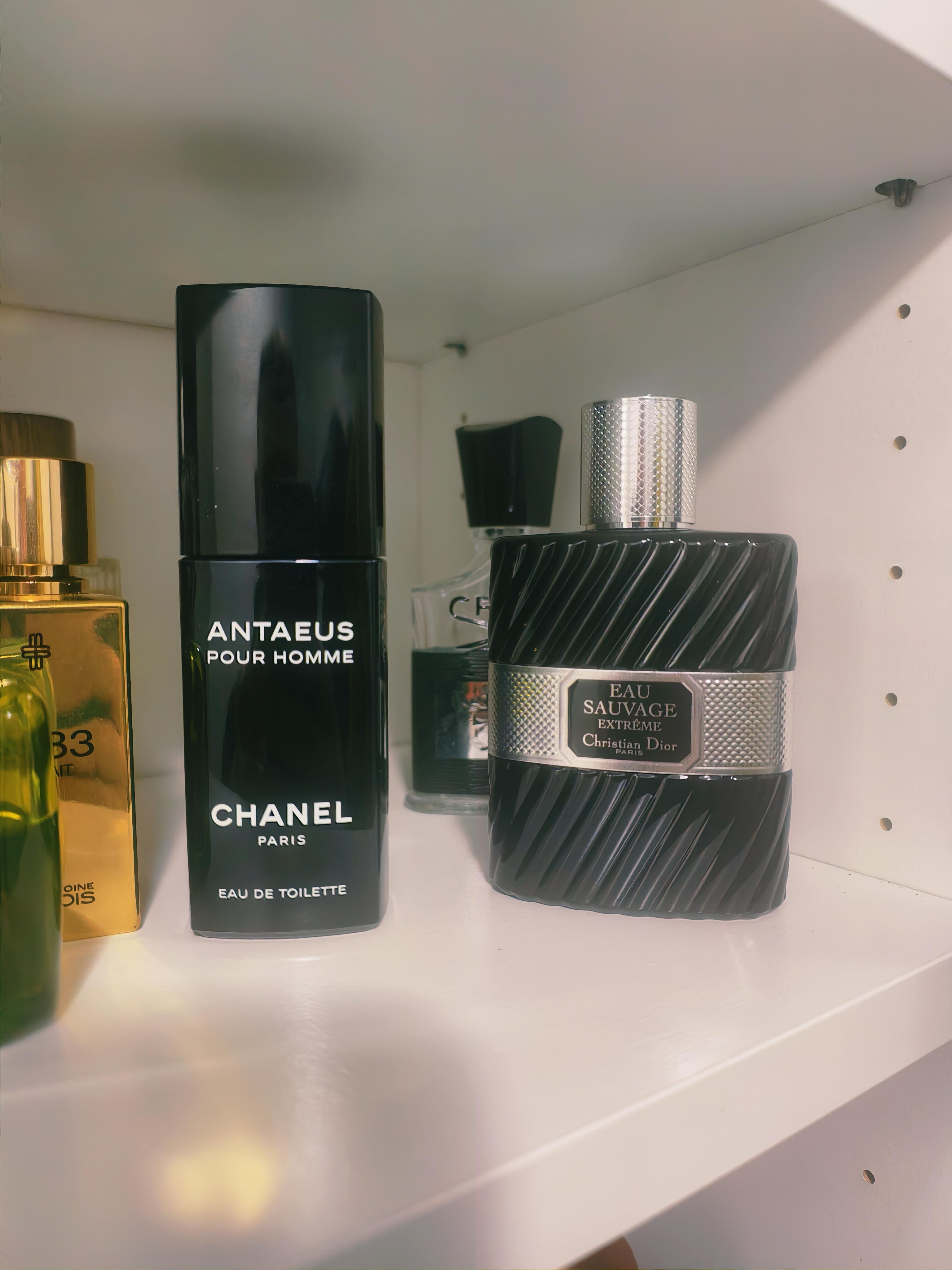 CANEL 香水 ANTAEUS POUR HOMME 3本セット Chanel Antaeus Pour Homme