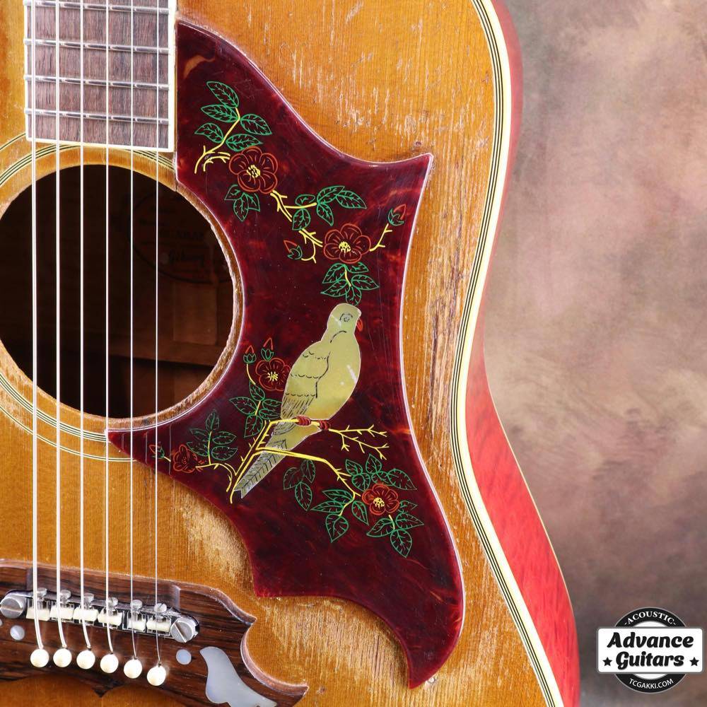 Gibson Dove | ダヴの歴史と仕様解説